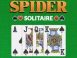 Spider Solitaire Professional